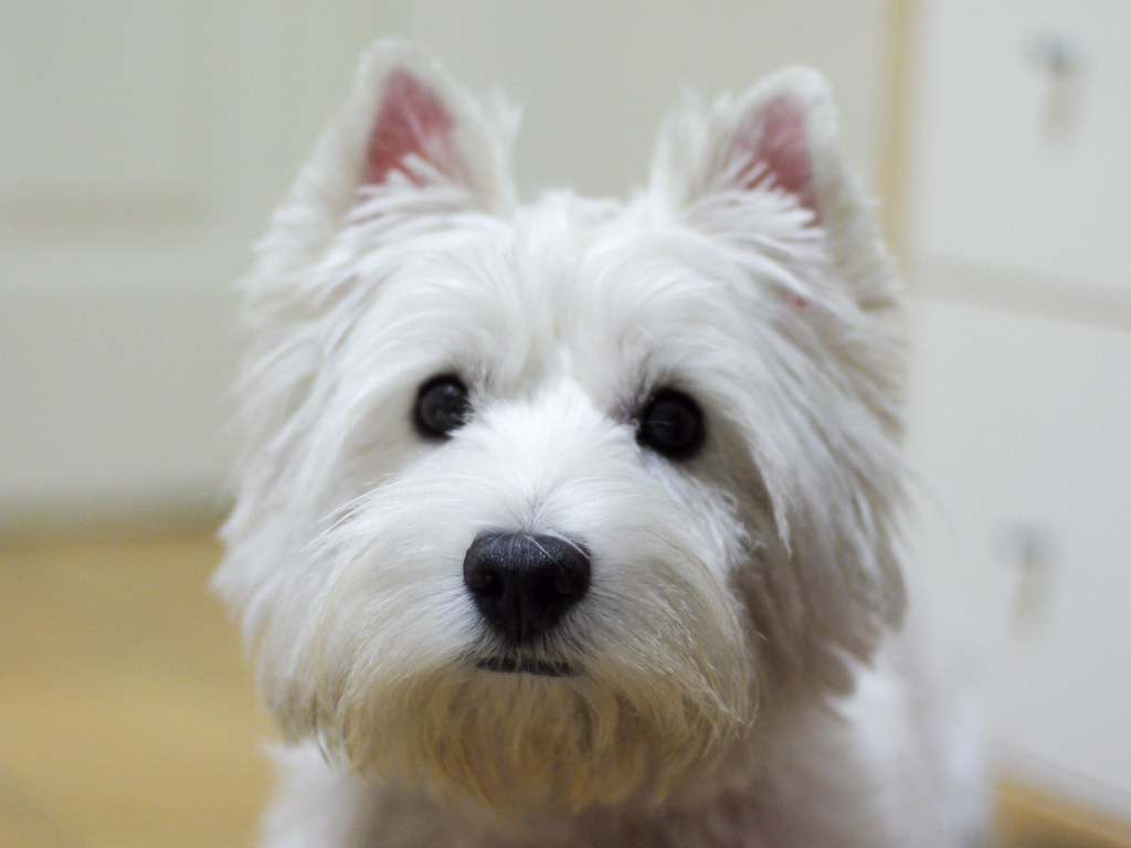 When It Hurts to Love Again